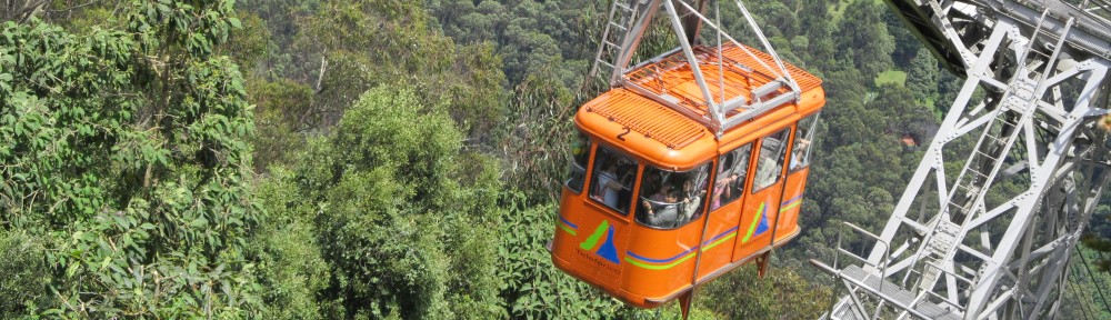 The Wanderlust Chronicles